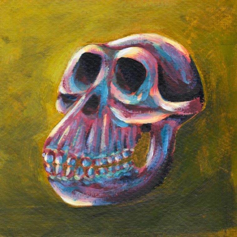 acrylic painting of a Australopithecus skull