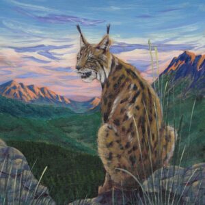 acrylic painting of a bobcat sitting on a rock with mountains in the background
