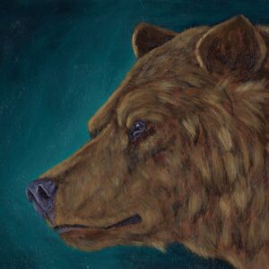 Portrait of a grizzly bear