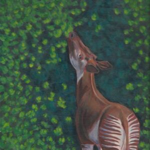 Scan of acrylic painting of okapi