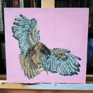 Red Tailed Hawk Original acrylic painting