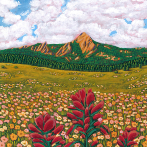 Boulder Flat Irons in Spring Print