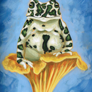Milk Frog on a Mushroom