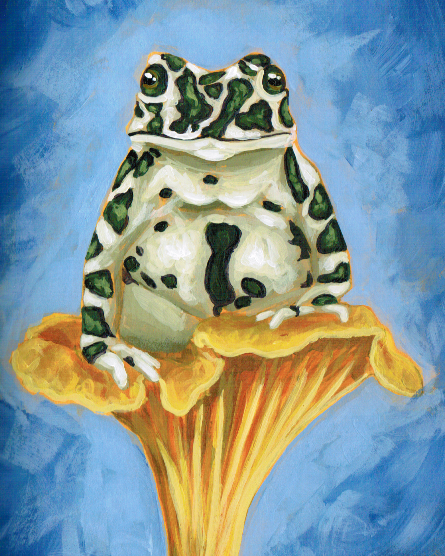 Milk Frog on a Mushroom