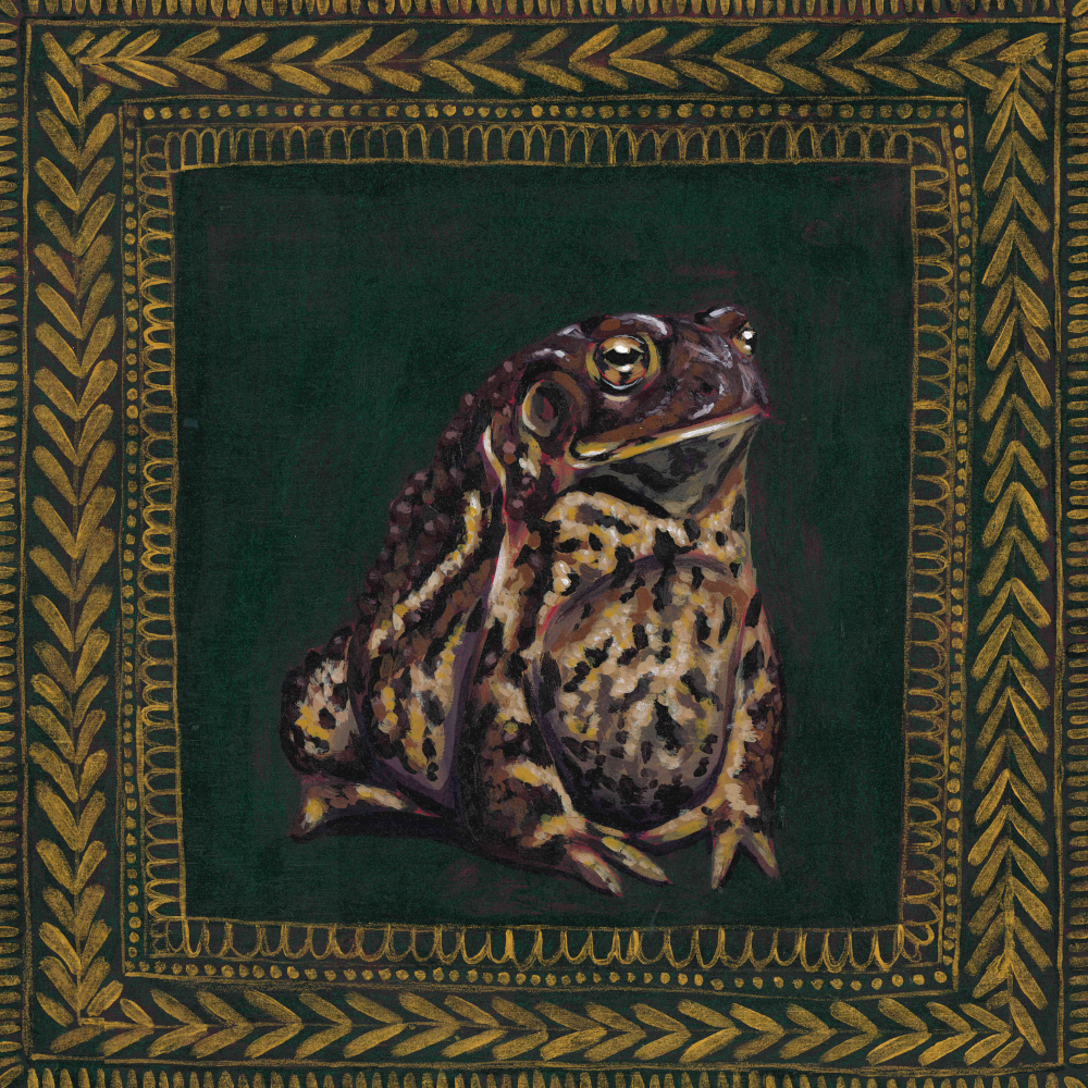 American Toad Print