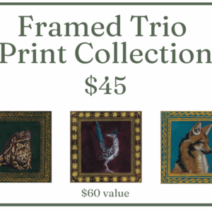 Framed Trio Bundle Pack -- $45 price for a $60 value