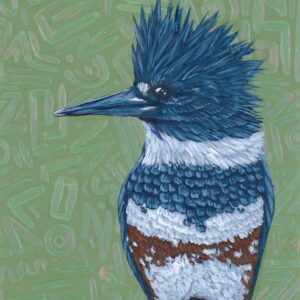 Belted Kingfisher Print