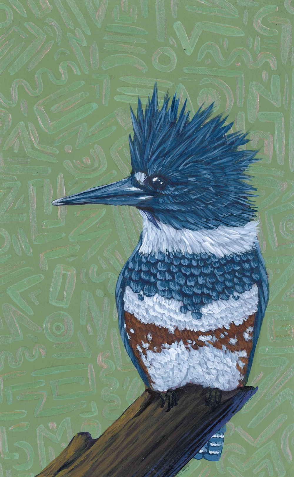 Belted Kingfisher Print