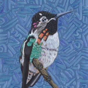 Hummingbird Print