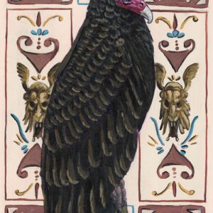 Turkey Vulture Print